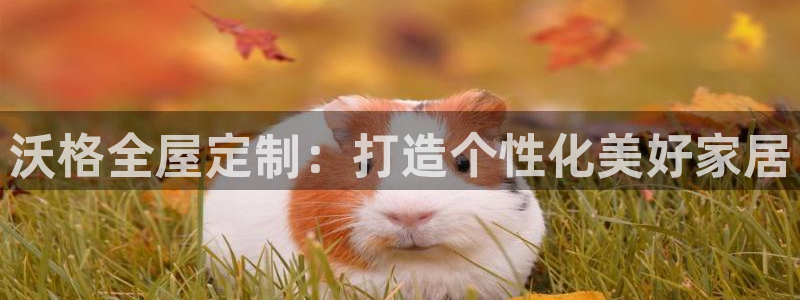 bb电子哪个游戏好赢钱一点