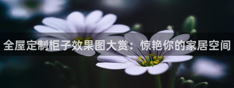 xbb电子游艺