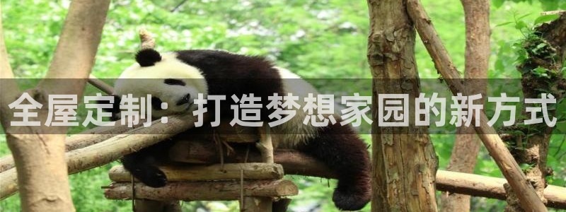 BB电子烟官网