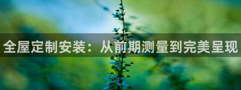 网上bb电子为什么那么假