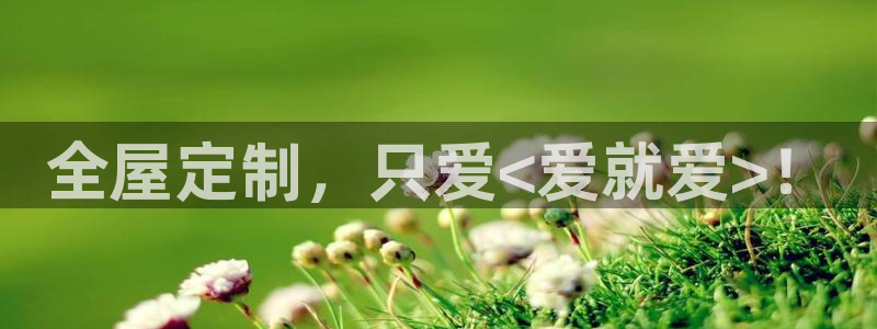 bb电子哪个平台好用点