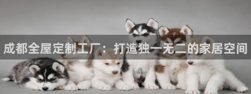 bb电子哪个平台好啊