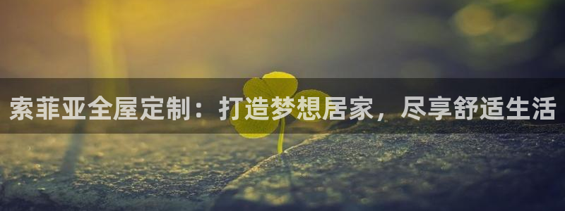 bb电子哪个平台好一点