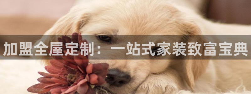 xbb电子游艺