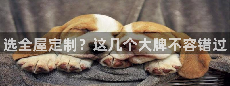 bb电子什么游戏好赢一点