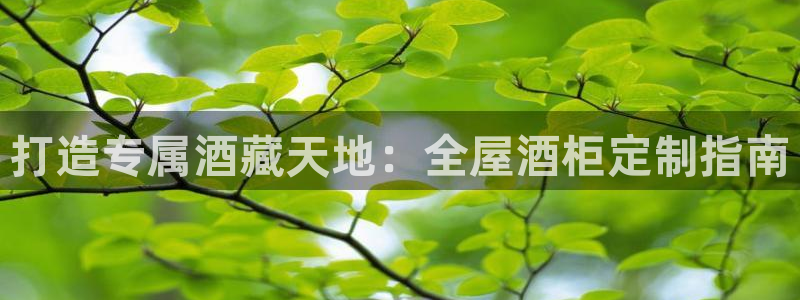 BB电子游戏钱得钱