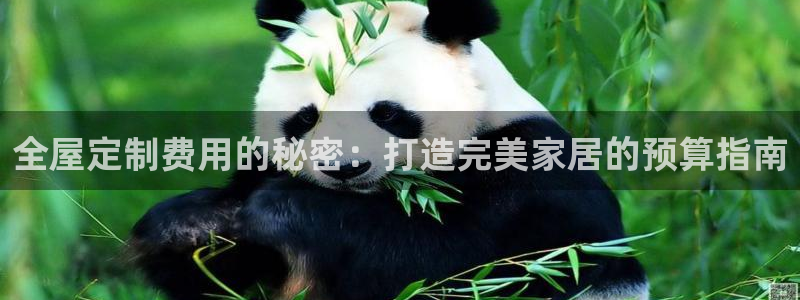 bb电子怎么赢
