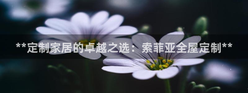 bb电子哪个平台好用