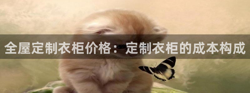 bb电子哪个平台好一点