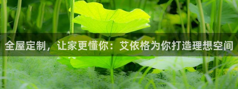 bb电子哪个平台好