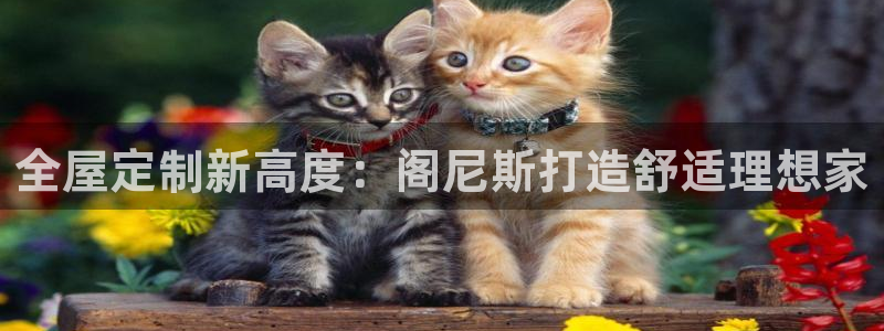 bb电子最简单设置方法