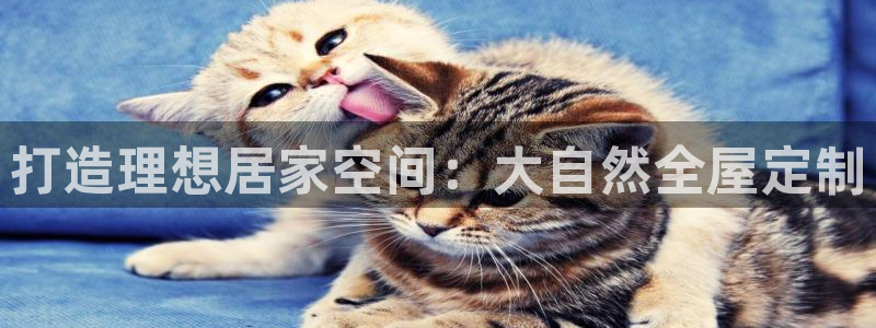 bb电子哪个平台好出款啊