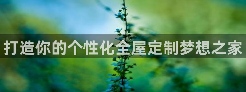 BB电子骗局