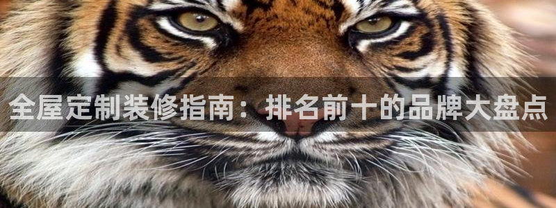 bb电子哪个平台好用点