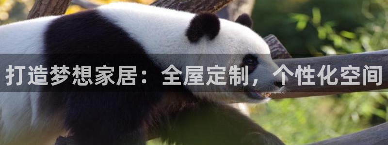 bb电子糖果彩球