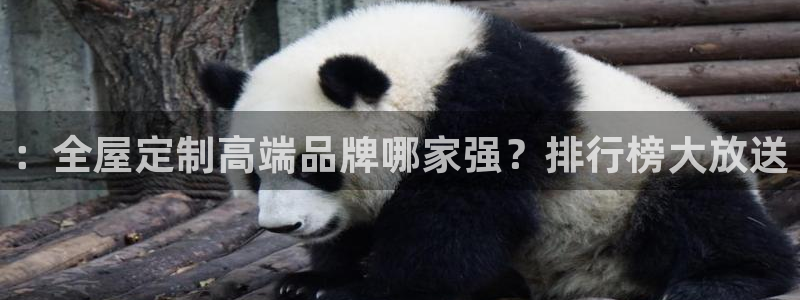 网上bb电子为什么那么假