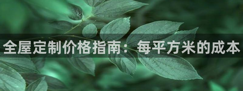 bb电子哪个平台好些