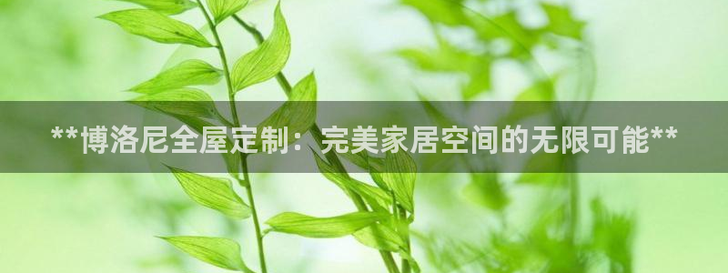 bb电子哪个平台好些