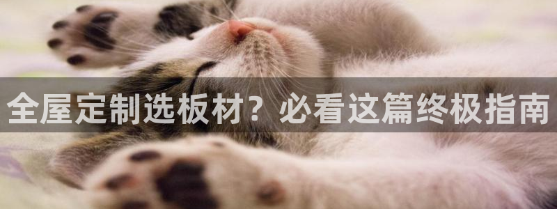 bb电子哪个平台好用一点