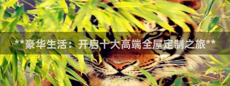 bb电子什么时候容易爆大奖的