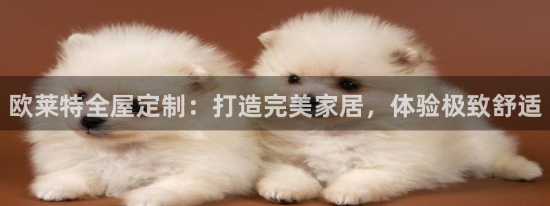 BB电子锁怎么接电