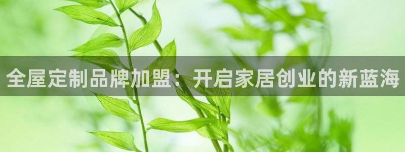 bb电子哪个平台好