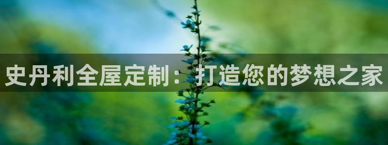 bb电子最简单设置方法