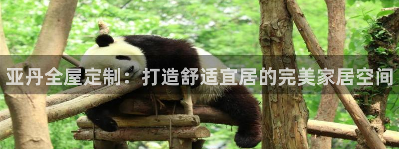 BB电子什么时候容易爆大奖