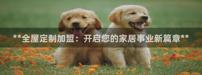 BB电子锁怎么接电