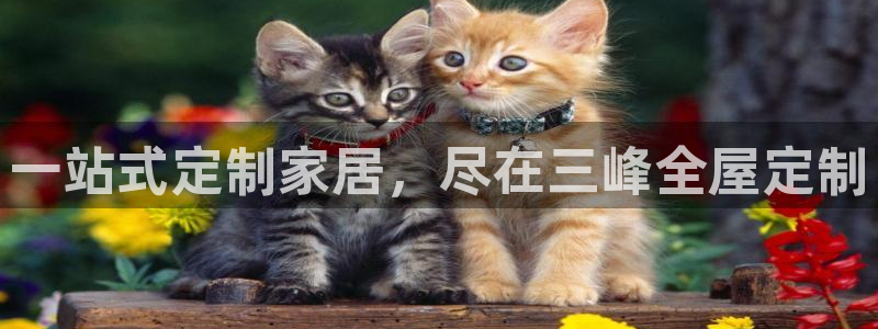 bb电子哪个平台好用