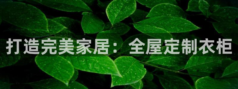 bb电子教育平台