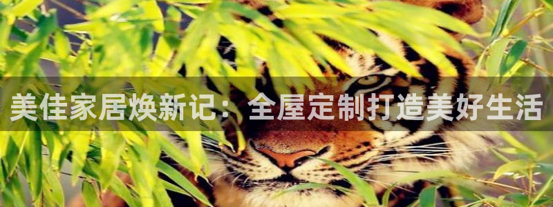 bb电子什么游戏好赢