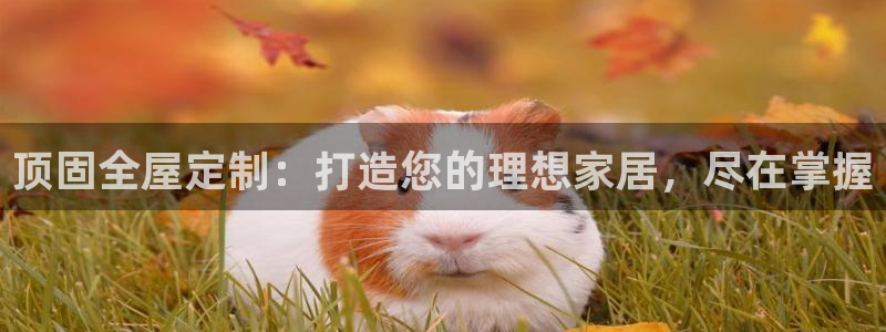 bb电子教育平台