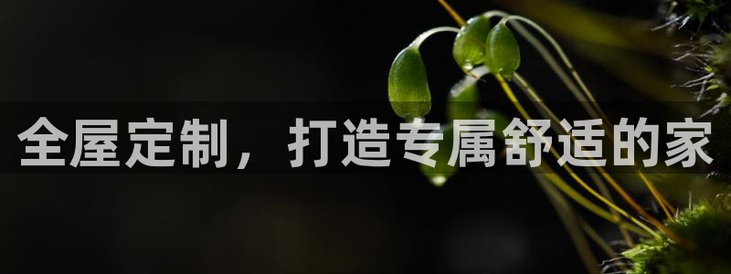 bb电子糖果彩球