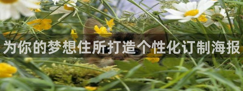 bb电子教育平台