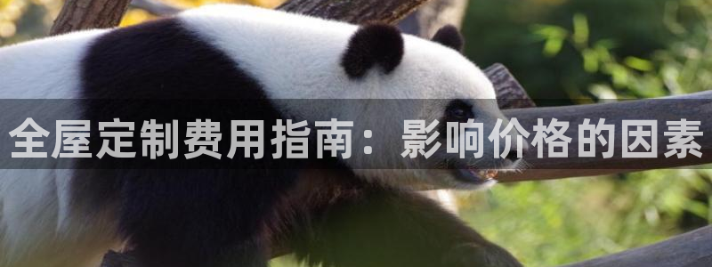 BB电子麻将胡了