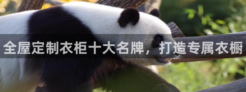 bb电子mini彩金