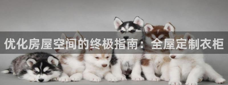 BB电子怪物派对