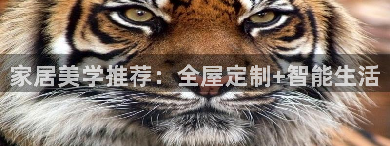 bb电子游戏娱乐平台
