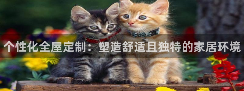 bb电子哪个平台好出款啊