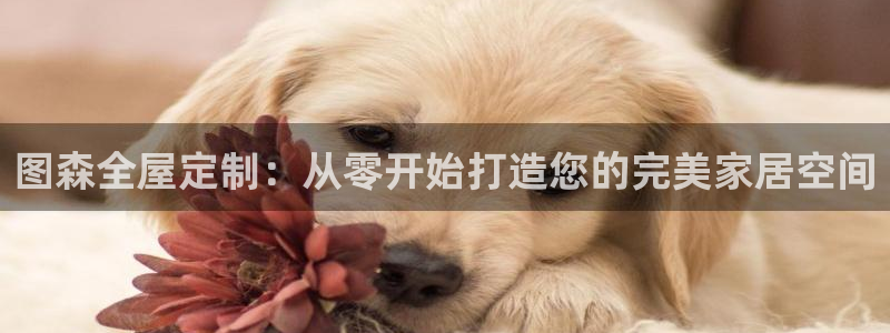 bb电子官网