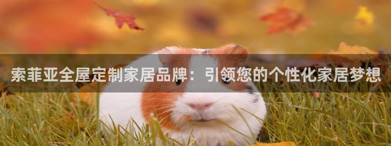 bb电子哪个平台好用