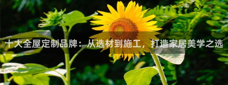 bb电子哪个平台好出款啊