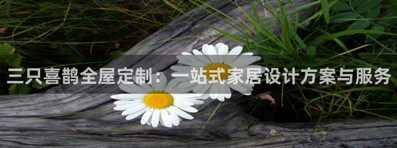 网上bb电子为什么那么假的