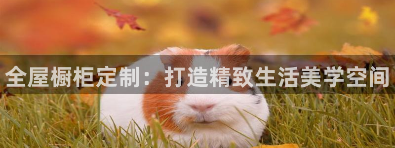 bb电子哪个平台好用点