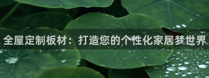 bb电子哪个平台好些